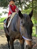 Tamariki nui was horse riding today! Iris hopped on and loved it!