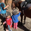 Tamariki nui was horse riding today! Iris hopped on and loved it!