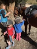 Tamariki nui was horse riding today! Iris hopped on and loved it!