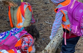 May - Journal Entries