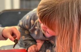 November - Journal Entries