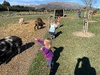 Wanaka Day 2: lavender farm, feeding the animals and madly running around while the four big kids ski.
