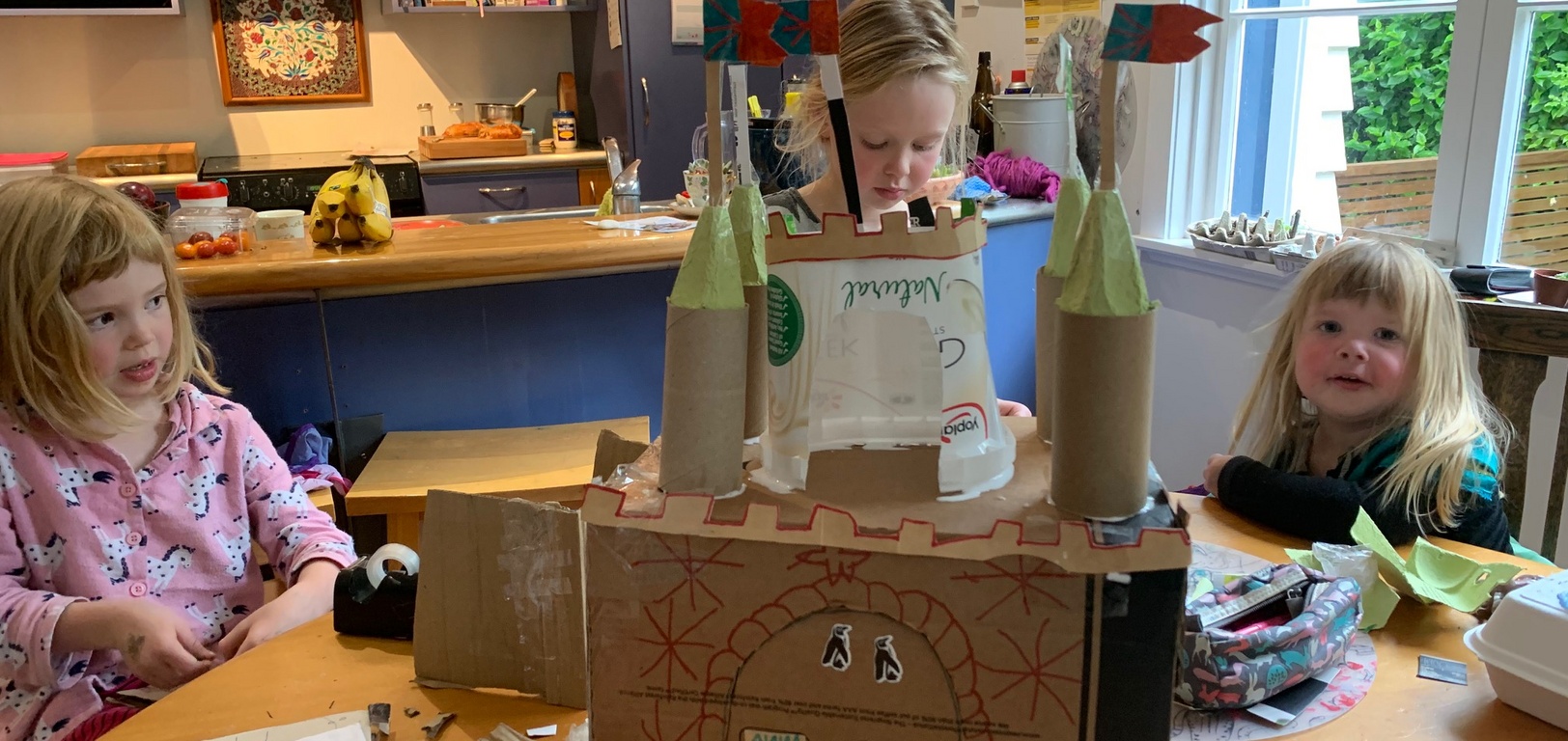 Lockdown day twenty three: Olive woke wanting to make a recycled castle for juni and her frozen characters. Afternoon walk up wrights hill and out at Woodhouse rd. Disco night which ended in emotional teary children...