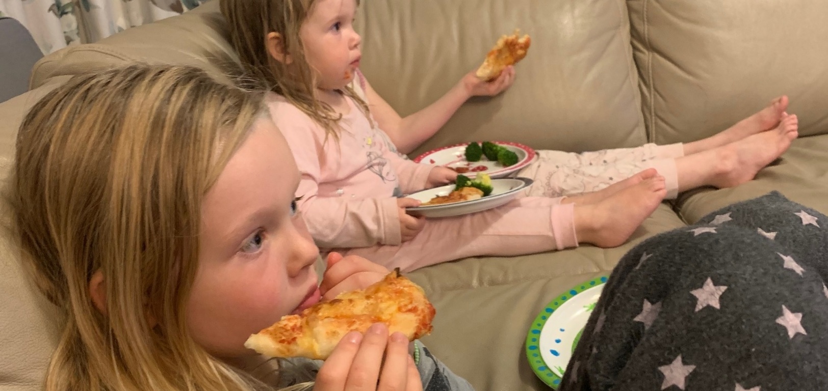 Lockdown day twenty four: Tom places dog poo bucket and tidied under carport with iris. Pizza and family movie night.