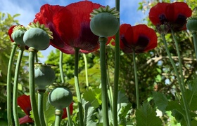 December - Journal Entries