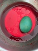 Holiday craft: marbling eggs