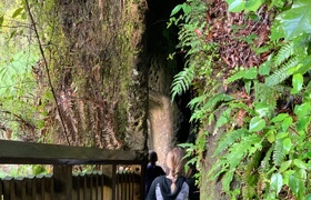 July - Journal Entries