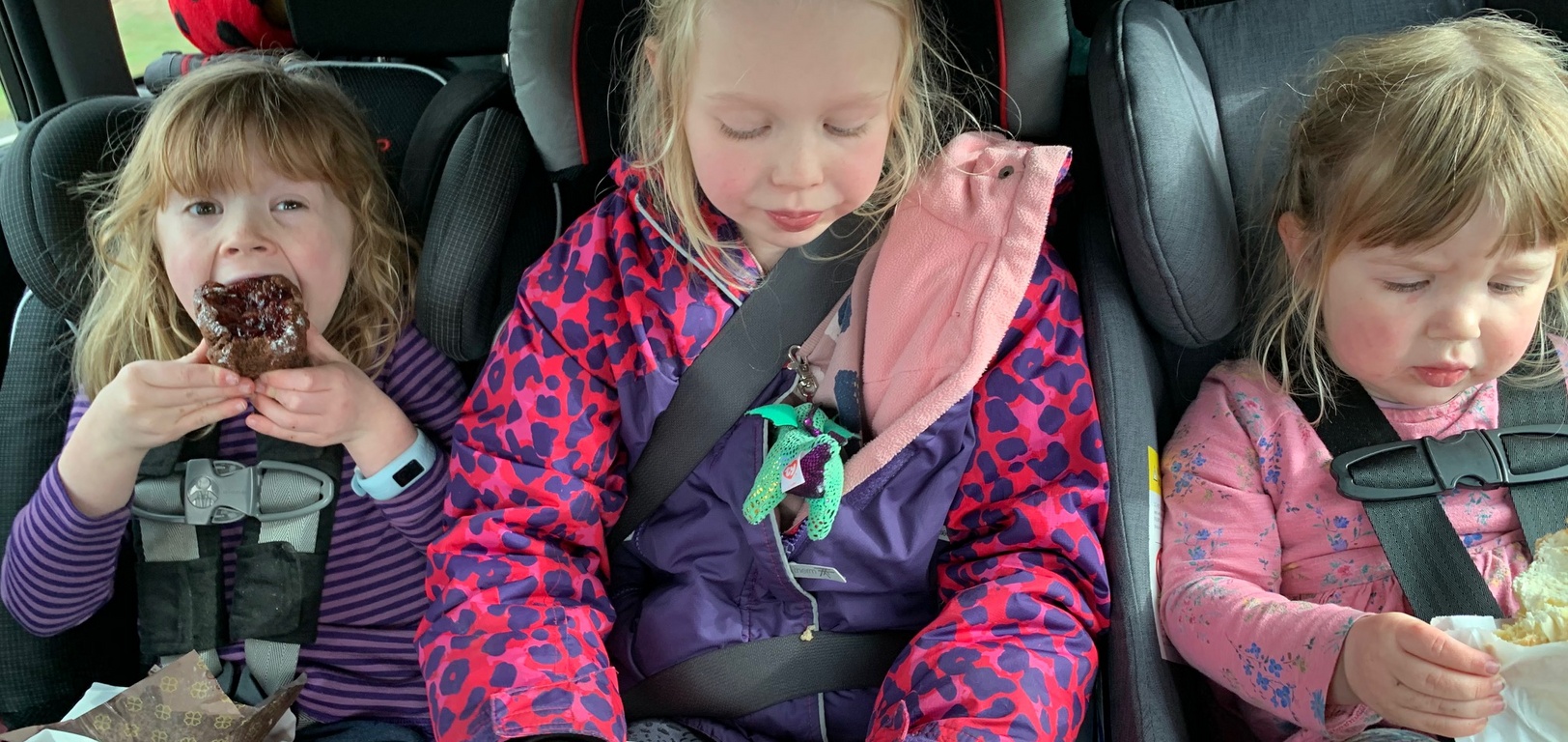 Eclairs and a drive home