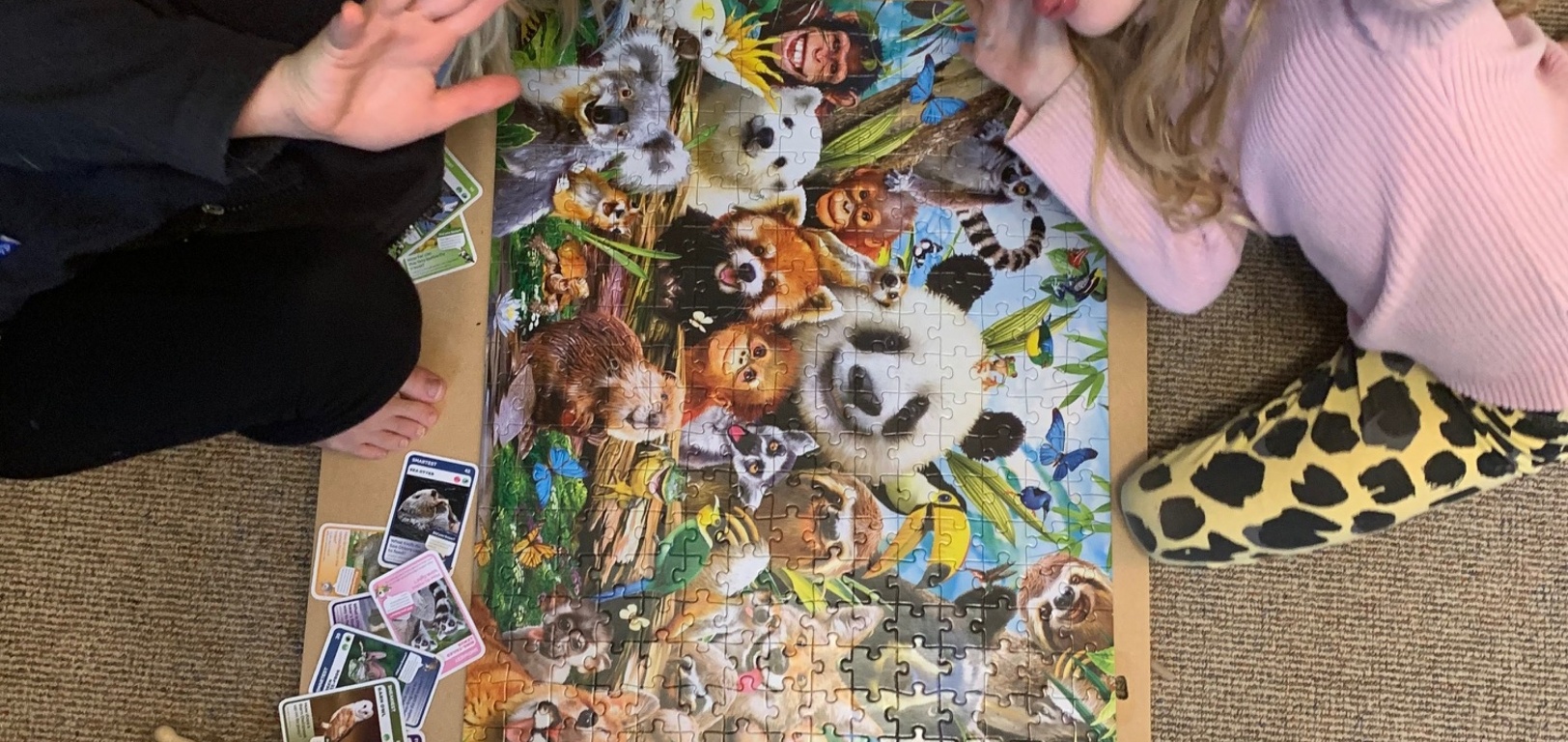 Lockdown day four: finished the puzzle! Started a mega one only to give up! Gave iris a haircut and plaits today keep, started knitting Oli's ombre tunic.