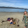 Lockdown day forty seven: Scorching bay autumn beach fun, rock pools and milk shakes with the cuzzies.