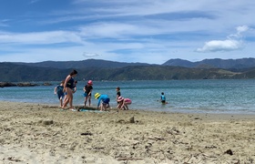 November - Journal Entries