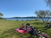 Biked around to 3 mile bay for a picnic, daddy joined us via foot. Stunning day, kids loved the swing over the water.