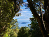 How good is Stewart Island (Rakiura). A 