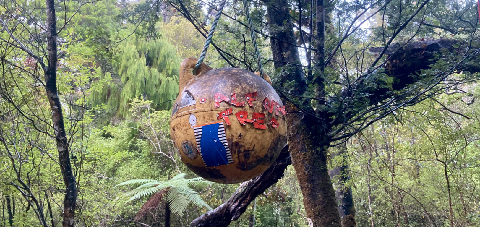 How good is Stewart Island (Rakiura). A "boys" trip, where the five of us completed the Rakiura Track over 3 days, then I ran it the following morning before breakfast. Saw 2 kiwi in the wild, blue mushrooms, stunning views, incredible birdlife and undisturbed flora. A super special place.
