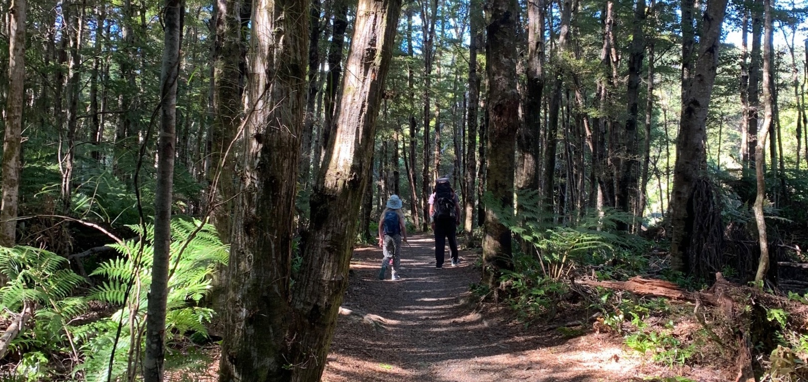 Butterfly creek walk in eastbourne. Juni managed it all the way! A happy walk for all.