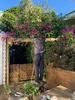 Bougainvillea gets an archway!