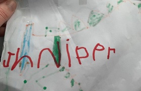 August - Journal Entries