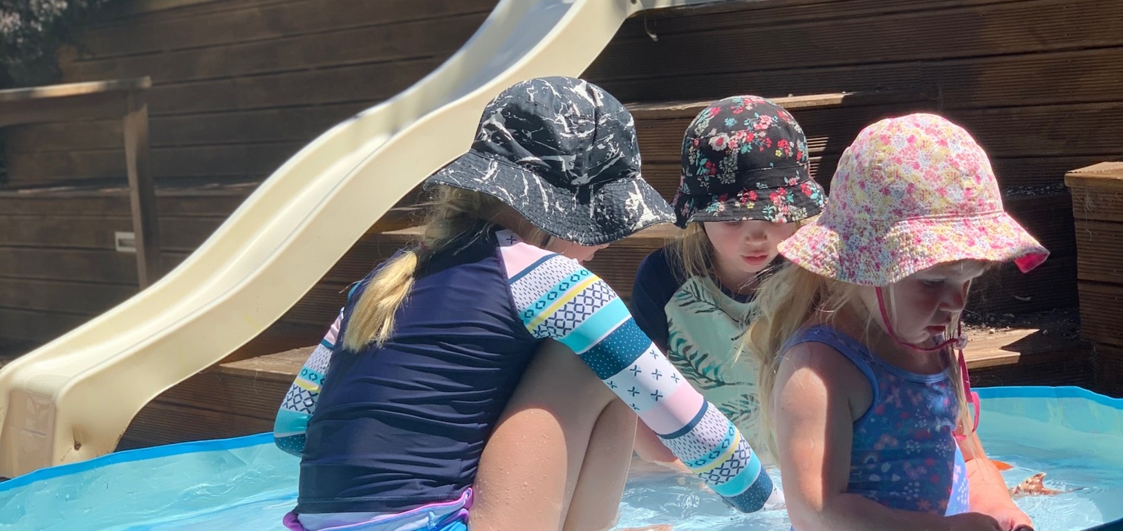 Summer in the backyard