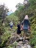 Walk on Mt Taranaki to the falls with the Thompsons.