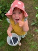 Blueberries forever picking in white mans valley. Delicious. Got 3kg for $44