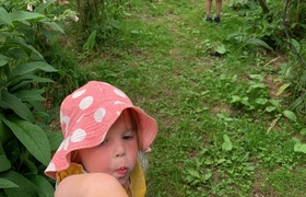 January - Journal Entries