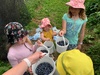 Blueberries forever picking in white mans valley. Delicious. Got 3kg for $44