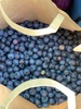Blueberries forever picking in white mans valley. Delicious. Got 3kg for $44