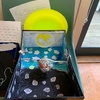 Karori west science fair! Olive's on tsunami and Iris's on the moon and sun.