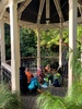 Tamariki nui session at the botanical gardens! Feeding the ducks, walk and leaf rubbing craft in the treehouse.