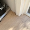 A $60 bargain piece of oak ply wood and boom we have a breakfast bar! Life changing!