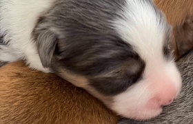 July - Journal Entries