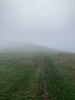 Up above the clouds on Mt Tauhara. TaupÅ