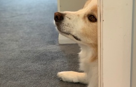 March - Journal Entries