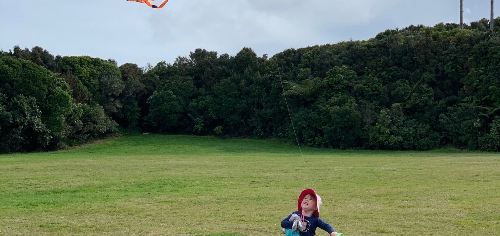 Kite action on Wrights hill.