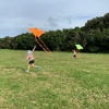 Kite action on Wrights hill.