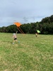 Kite action on Wrights hill.