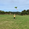 Kite action on Wrights hill.