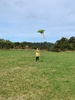 Kite action on Wrights hill.