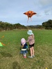 Kite action on Wrights hill.