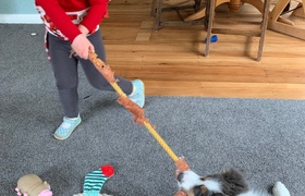 November - Journal Entries