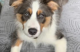 November - Journal Entries