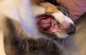 November - Journal Entries