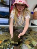 Rices for breakfast, beach fun followed by the aquarium. Got to see the octopus have his crab breakfast, explore the touch pool and feed the big fish. Even saw some shark eggs with brownies.