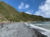 A stunning blue day at makara. Driftwood central. Kids loved finding treasure