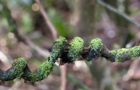 September - Journal Entries