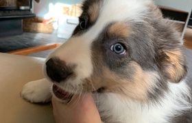 September - Journal Entries