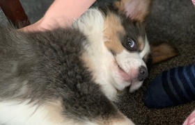 September - Journal Entries