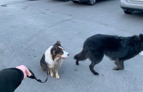 April - Journal Entries