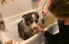 April - Journal Entries