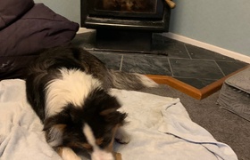 April - Journal Entries